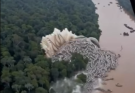 OMG Unbelievable footage from the Amazon…